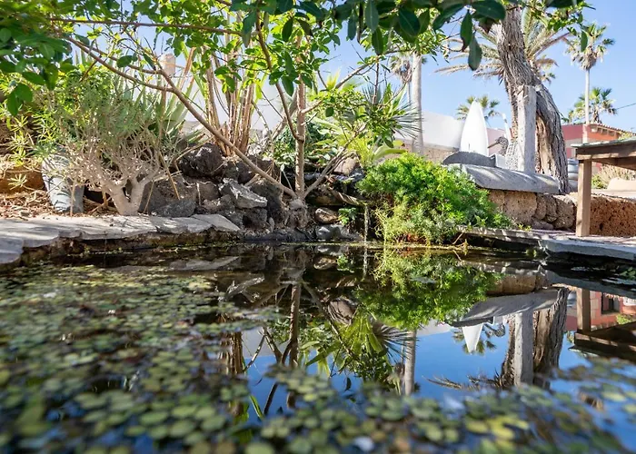 Little Paradise In El Medano Apartment