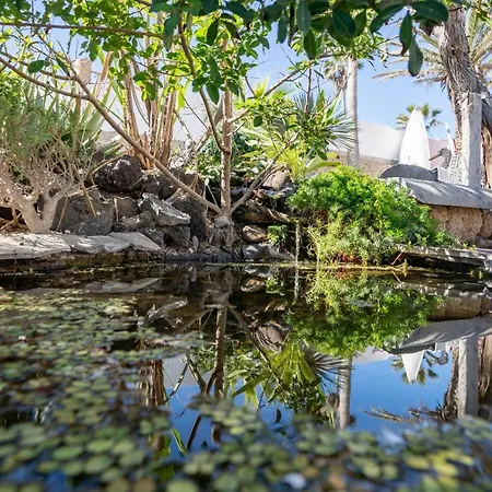 Little Paradise In El Medano Apartment
