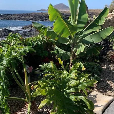 Little Paradise In El Medano * Granadilla De Abona