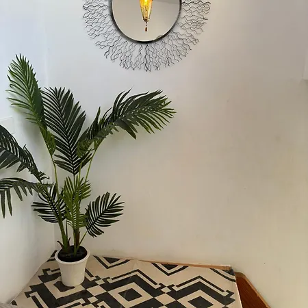 Little Paradise In El Medano Apartment