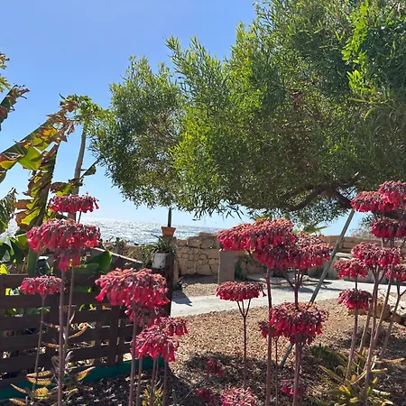 Apartment Little Paradise In El Medano Granadilla De Abona